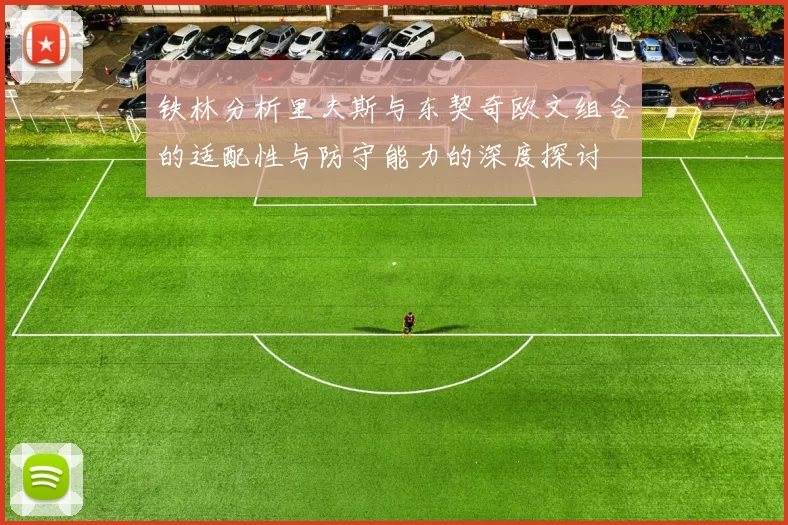 铁林分析里夫斯与东契奇欧文组合的适配性与防守能力的深度探讨