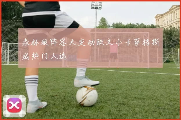 森林狼阵容大变动欧文小卡萨格斯成热门人选